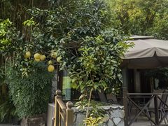 -茅庐·川粤精品私房菜(金沙遗址店)