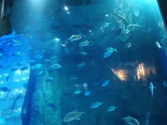 -成都浩海立方海洋公园