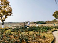 -武汉紫薇都市田园