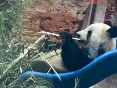 -石家庄市动物园