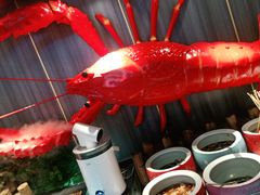 -韩风源烧烤涮自助餐厅(禹州新一峰店)