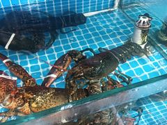 -初色海鲜自助(万丰路店)