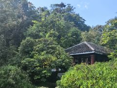 -花溪公园