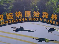 -西双版纳原始森林公园