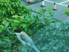 -河南省黄河迎宾馆