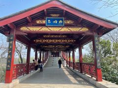 -长广溪湿地公园