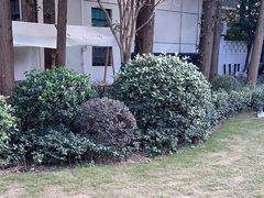 -一尺花园(安和花园店)