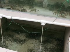 -水岸居湖景农家乐·阳澄湖大闸蟹