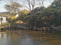 -秋霞圃