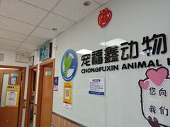 -宠福鑫动物医院(城北分院)