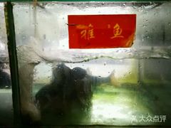 -干老四雅鱼饭店(滨江西路店)