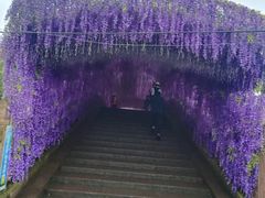 -雅安上里古镇