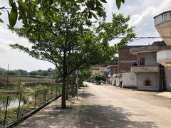 -红山村