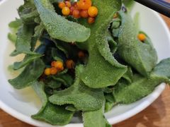 沙棘冰草-九十九顶毡房(阜石路店)