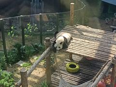 -大连森林动物园