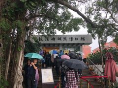 -鼓浪屿钢琴博物馆