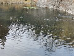 -北京植物园南门售票处