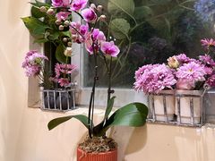-花二家·生活馆(六运小区店)