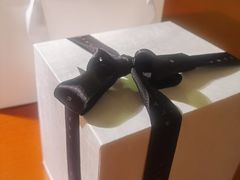 -BLACKSWAN黑天鹅(环球店)