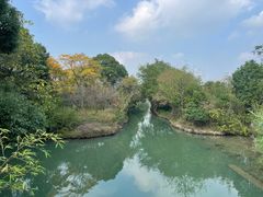 -西溪国家湿地公园