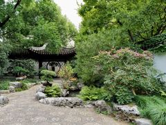 -上海醉白池公园