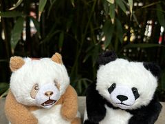 -栾川竹海野生动物园