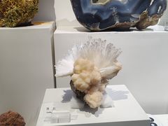 -重庆自然博物馆(新馆)