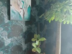 -重庆家富富侨(花港店)