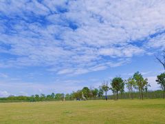 -上海海湾国家森林公园