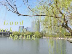 -大宁公园