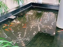 -天津波士信达奔驰4S店(卫津南路店)