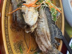-老蒲田·渔乡楼