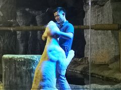 -清迈夜间动物园