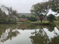 -无锡梅园公园