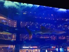 -成都浩海立方海洋公园