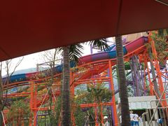 -苏州乐园森林水世界