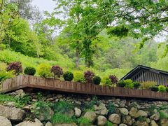 -苍龙峡风景区