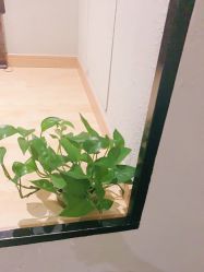 -香秀空间科技抗衰·美容中心