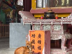 -羊楼洞