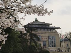 -武汉大学-樱园
