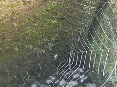 -神农架香溪源景区
