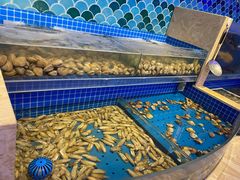 水产区-乔哥铭洋海鲜自助(皇城恒隆广场店)