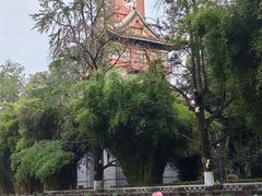 -四川大学(华西校区)