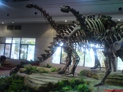 -自贡恐龙博物馆