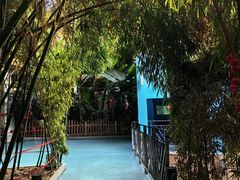 -北国之春国宴(乌兰察布店)