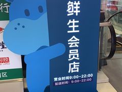 -盒马鲜生(大成店)
