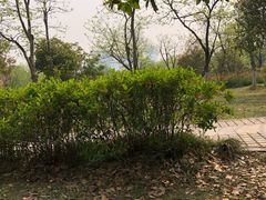 -南山风景名胜区