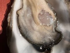 -Oyster Talks 四度蚝法餐厅