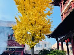 -钦赐仰殿道观