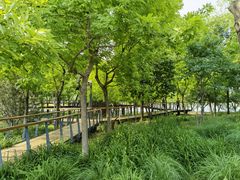 -东郊湿地公园